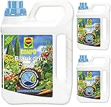 3 x 2,5 Liter COMPO Blaukorn NovaTec flüssig Universaldünger, NPK 8+8+6