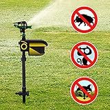 Wasserstrahl Tiervertreiber Hancaner Solar Power Bewegungsaktivierter Sprinkler Katzenschreck Hunde Marder Waschbären Wildtiere